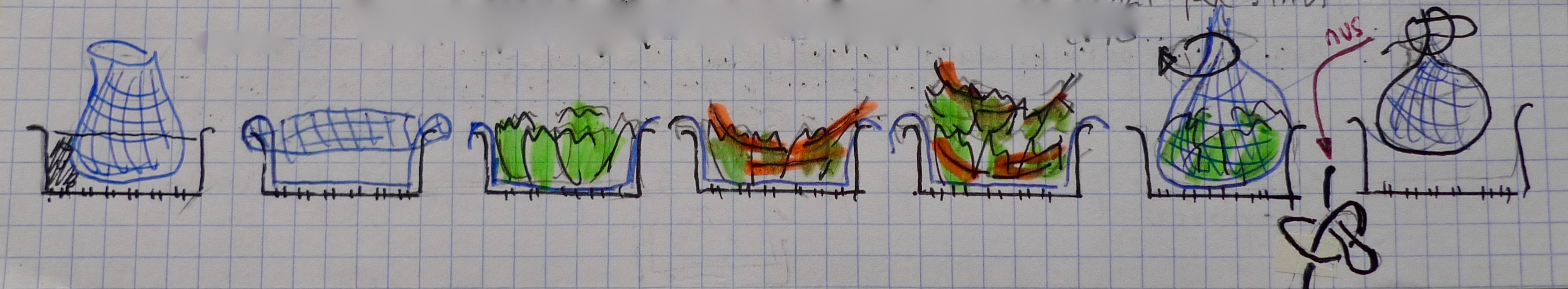 Col al vapor rellena de salmón ahumado — Elaboración