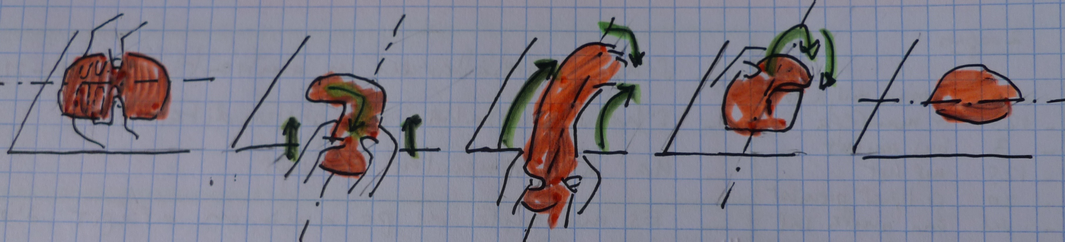 Mona de Pasqua Tradicional Massa Mare Forki — Manipulacions prèvies